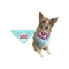 Dog Birthday Gift Idea Polyester Bandana Scarf Medium to Large Dogs