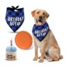 Dog Birthday Gift Package Includes Durable Frisbee for Play Cozy Bandana Soft Cupcake Toy