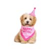 Dog Birthday Party Bandana and Hat Set with Adjustable Neck Size for Small Dogs