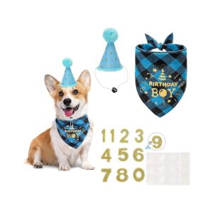 Dog Birthday Party Outfit with Adjustable Hat and Numbers Gift for Small Medium Dogs