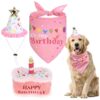 Dog Birthday Party Supplies Gift Set With Squeaky Cake Toy and Adjustable Hat and Bandana