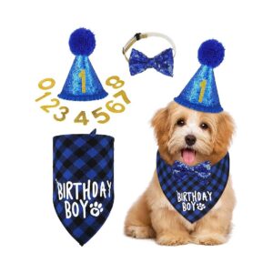 Dog Birthday Party Supplies Package with Adjustable Collar, Numbered Hat, and Plaid Scarf