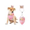 Dog Birthday Party Supplies - Pink Bandana and Hat Set for Small to Medium Breeds