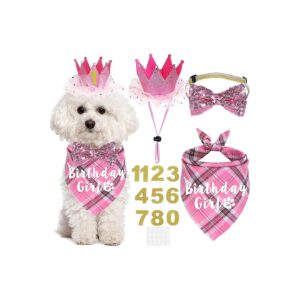 Dog Birthday Party Supplies Pink Bandana and Hat for Small Dogs