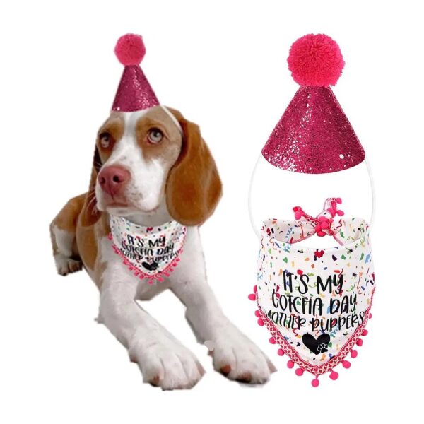 Dog Birthday Party Supplies Set Including Pink Party Hat and Soft Bandana for Dogs