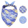 Dog Birthday Party Supplies X-Large Reversible Bandana Multipet Size Option