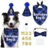 Dog Birthday Party Supplies with Plaid Bandana Hat and Adjustable Bow Tie for Dogs