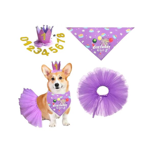 Dog Birthday Photo Shoot Outfit with Adjustable Crown Hat and Triangular Scarf