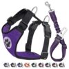 Dog Car Seatbelt Harness with Adjustable Straps for Large Medium Small Dogs Purple Large