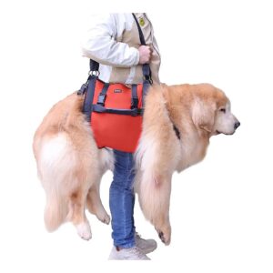 Dog Carry Sling for Large Dogs with Hip Dysplasia and Joint Injuries