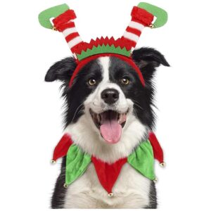 Dog Christmas Outfit with Reindeer Antler Headband and Tutu Collar