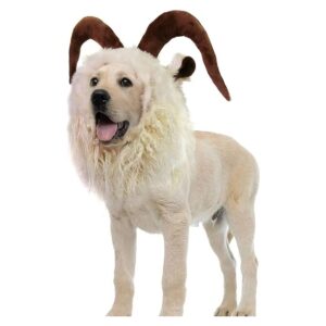 Dog Clothing Accessories Pet Wig for Halloween Christmas Moose Reindeer Goat Costume