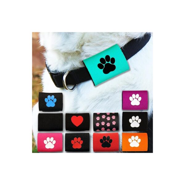 Dog Collar Tag Silencer and AirTag Holder for Teal with Black Paw Owners