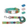 Dog Collar and Leash Set for Girl Dogs with Embroidered Floral Design Green Medium