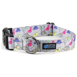 Dog Collar for Medium Dogs with Unique Dinosaurs Pattern and Breathable Design