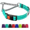 Dog Collar with Reflective Properties and Martingale Style for Safe and Secure Wear