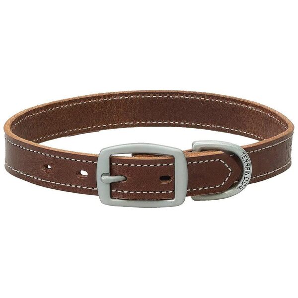 Dog Collars Made from Long-Lasting English Bridle Leather with Precise Stitching