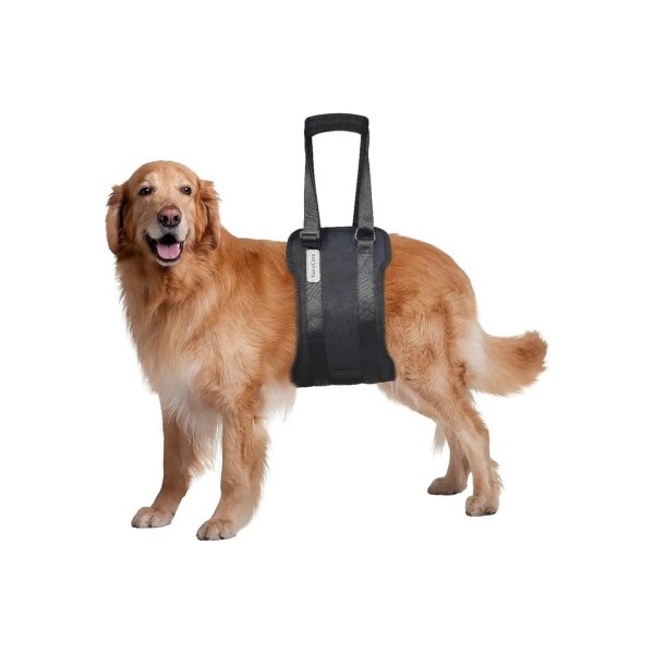 Dog Comfort Lifter with Internal Support Bars for Large Dogs