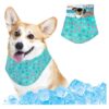 Dog Cooling Bandana with Refrigerated Cooling Effect for Hot Summer Days