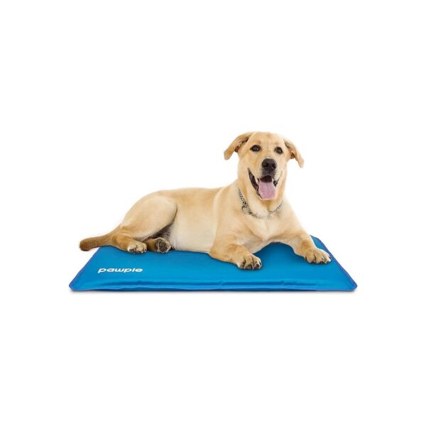 Dog Cooling Mat for Crates Kennels and Pet Beds with Durable Foam Base