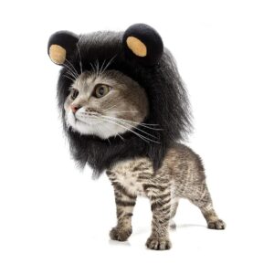 Dog Costume Halloween Christmas for Small Medium Large Dogs with Black Lion Mane