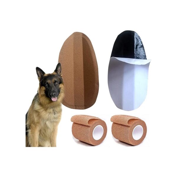 Dog Ear Fixed Correction Vertical Holder for Doberman Ear Care