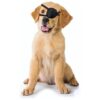 Dog Eye Covering Protector Wounds Guard for Furry Friends Eye Care