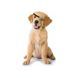 Dog Eye Patch for Eye Injuries and Wounds Protection