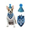 Dog First Birthday Party Supplies Night One Adjustable Blue Hat And Bandana