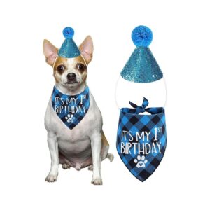 Dog First Birthday Party Supplies Night One Adjustable Blue Hat And Bandana