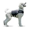 Dog Fitness Vest with Weighted Compression - Calm High Energy Dogs and Improve Digestion