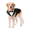 Dog Formal Wear Tuxedo and Bandana Set for Golden Retrievers and Samo Bulldogs