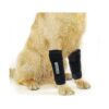 Dog Front Leg Support Wrap Provides Relief from Pain and Injuries with Metal Strips