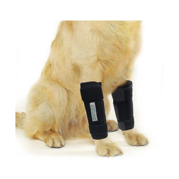 Dog Front Leg Support Wrap Provides Relief from Pain and Injuries with Metal Strips