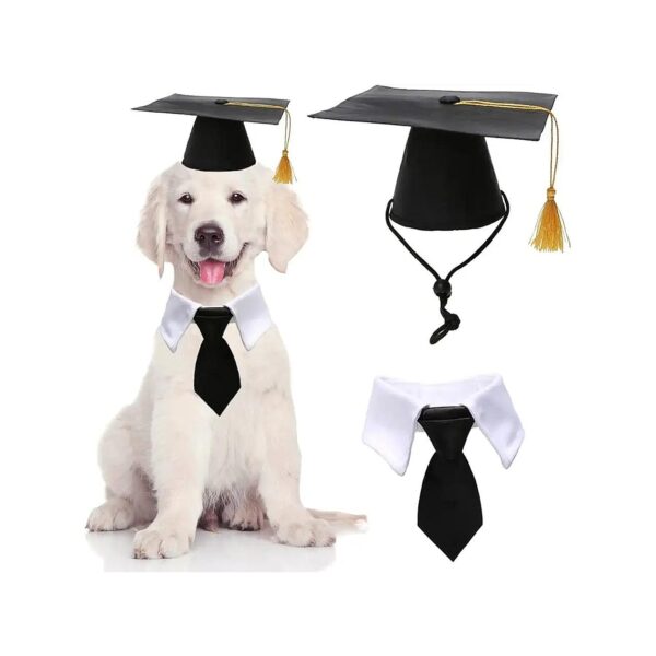 Dog Graduation Caps with Yellow Tassels and Matching Neckties