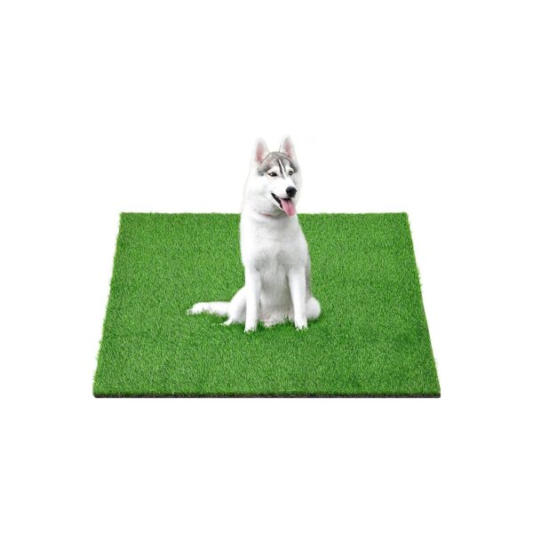 Dog Grass Pad for Indoor and Outdoor Use with Partitioned Tray and Replacement Grass Pads