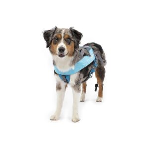 Dog Harness for Skijoring, Canicross, and Bikejoring Activities