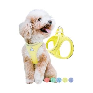 Dog Harness for Small Breeds, with No Pull, No Choke Design and Soft Air Mesh Necks