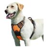 Dog Harness with Adjustable Straps and Soft Edges for Maximum Comfort and Easy Walking