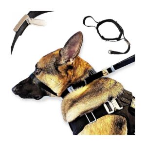 Dog Head Halter Collar with No-Pull Feature for Comfortable Walks and Training