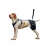 Dog Hip Support Bracing System for Hip Dysplasia, Arthritis, and Joint Pain