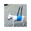 Dog Hip Support Sling for Back Legs Relief and Rehabilitation with