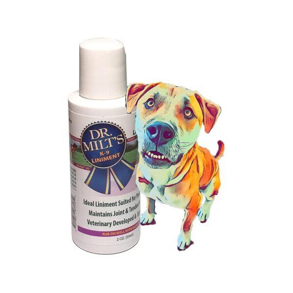 Dog Hip and Joint Pain Relief Spray with Topical Magnesium Sulfate and Arnica