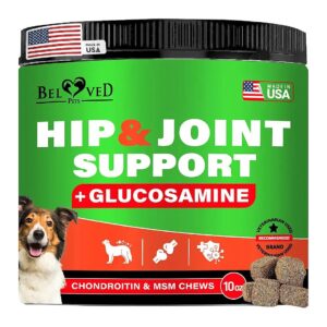 Dog Hip and Joint Supplement for Senior Dogs with MSM and Glucosamine