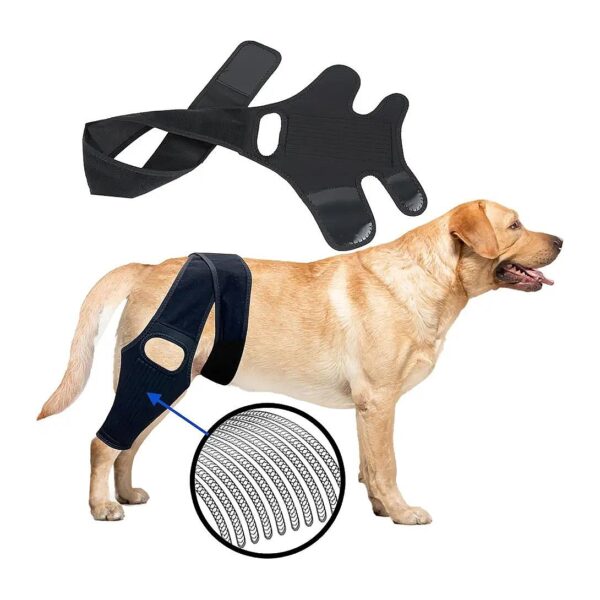 Dog Hip and Knee Support System for Pain Relief and Mobility Recovery from Arthritis