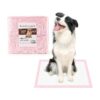 Dog Housebreaking Solutions with 100 Count Disposable Training Pads