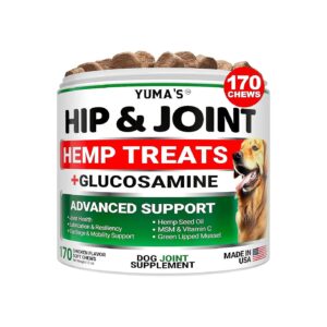 Dog Joint Supplement Hemp Chews with Glucosamine and Chondroitin for Healthy Dogs