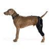 Dog Knee Brace Support for Back Leg with Side Stabilizers and Connection Belt