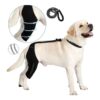 Dog Knee Brace for Sprain ACL CCL Arthritis Leg Wounds Care and Stability