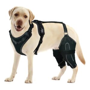 Dog Knee Braces for Back Leg - Relieve Joint Pain, Warm Joints, and Promote Recovery